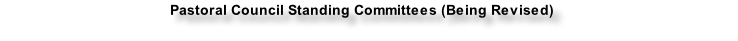 Pastoral Council Standing Committees (Being Revised)